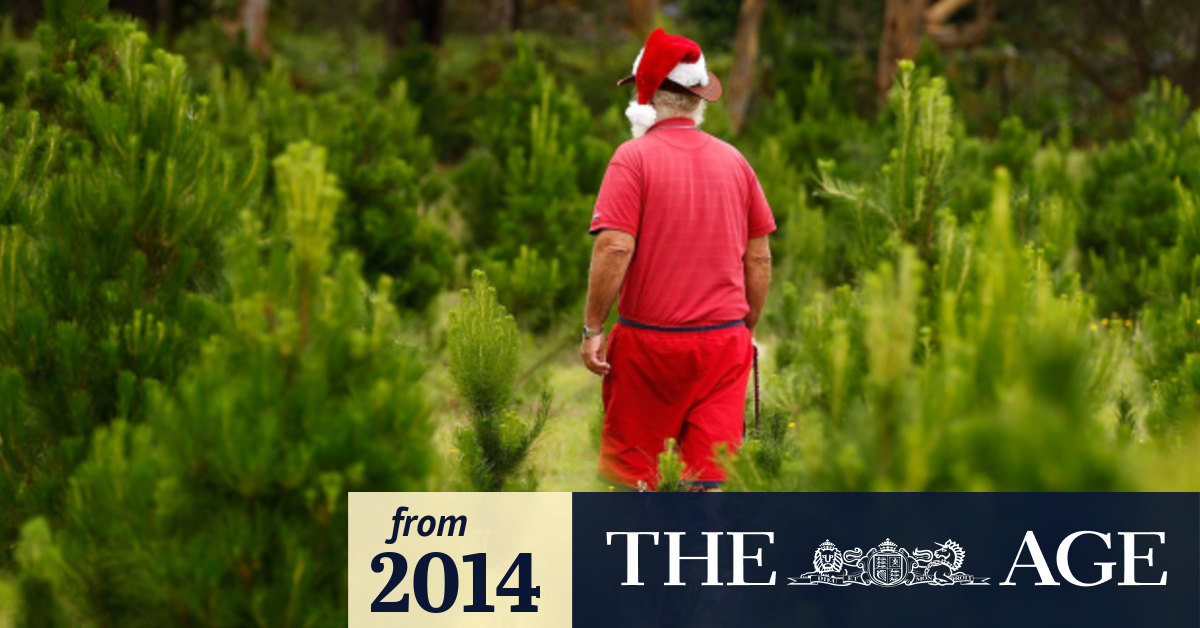 Christmas Day weather Melbourne could be damp, regional centres sunny